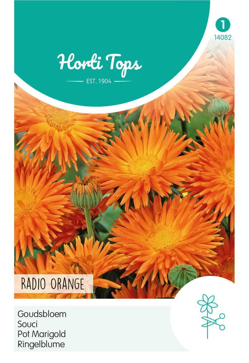 Calendula - Arancio radioso - 2g