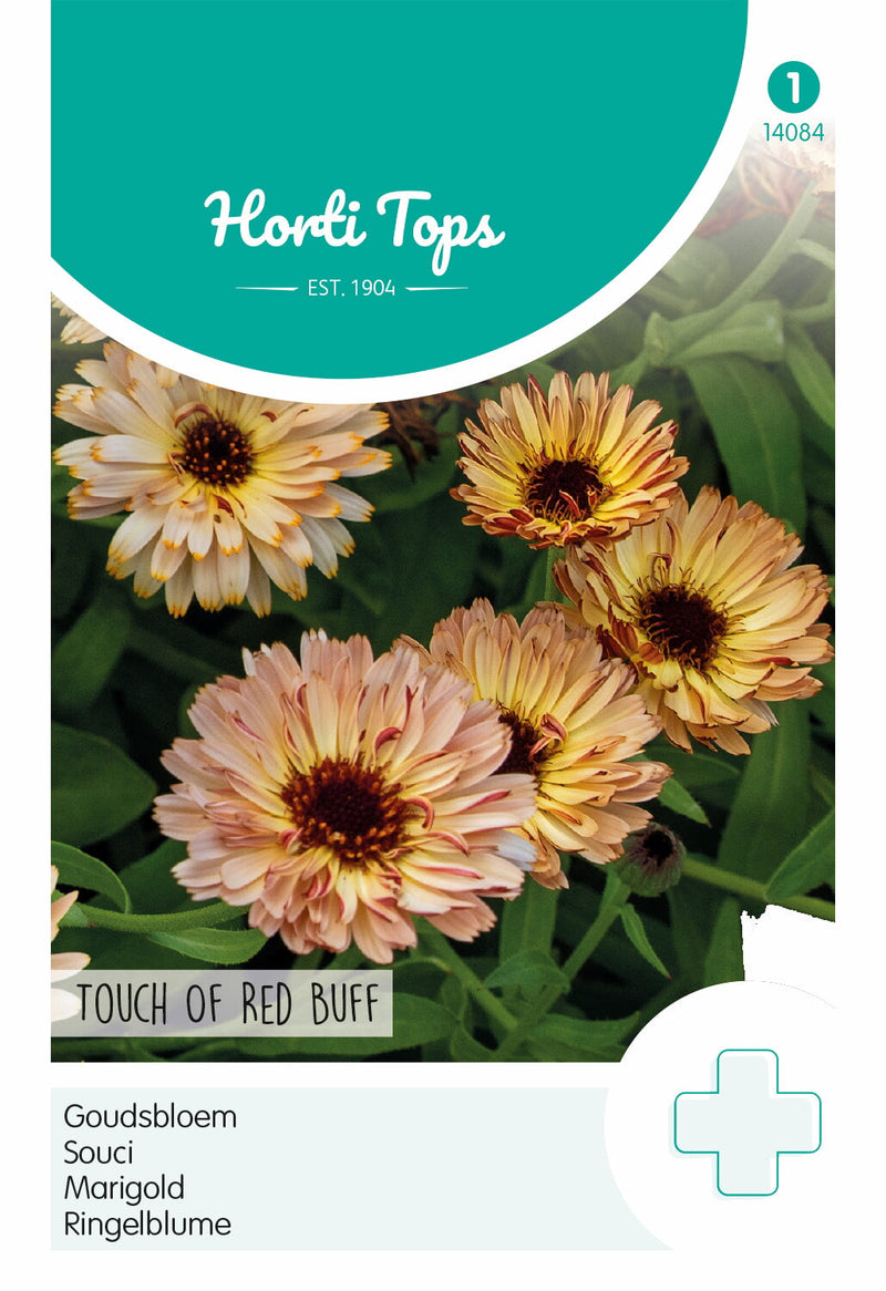 Marigold - Touch of Red Buff - 0,75g