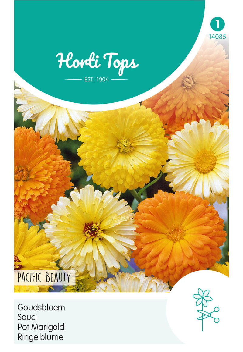 Calendula - Pacific Beauty - 2g