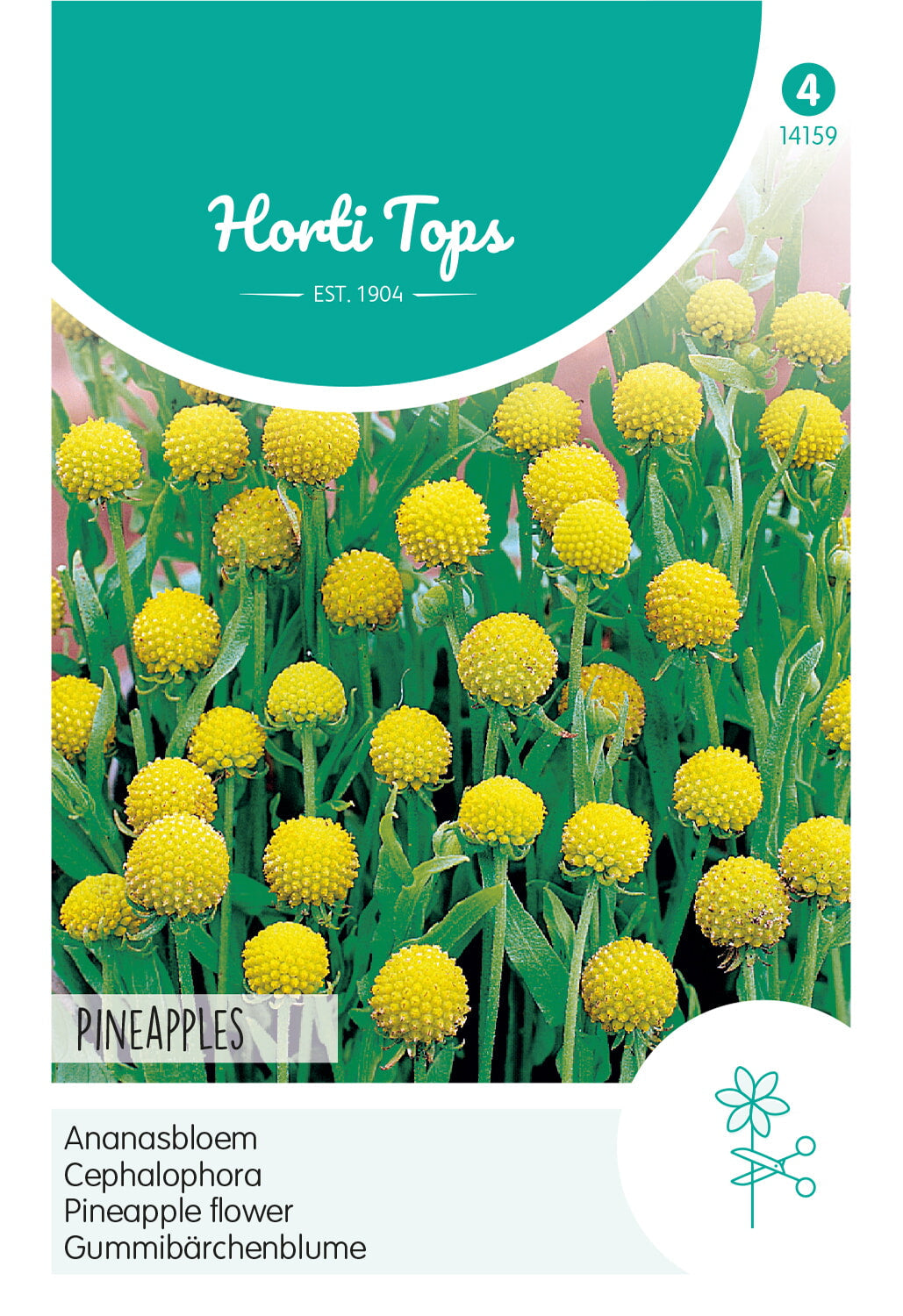 Pineapple Flower - 0,1g – Poppi-Shop