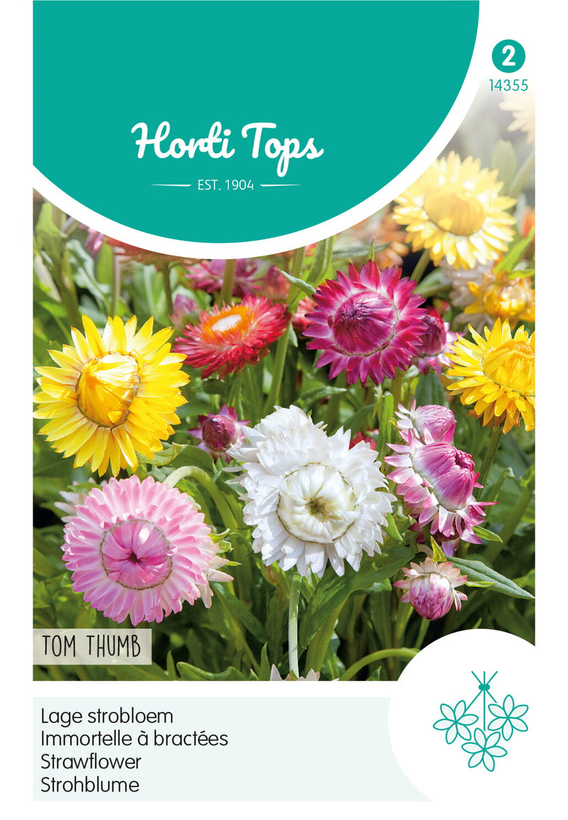 Flor de paja - Tom Thumb - 0,75 g