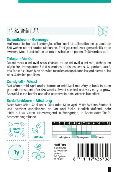 Schleifenblume - Gemischt - 2 g