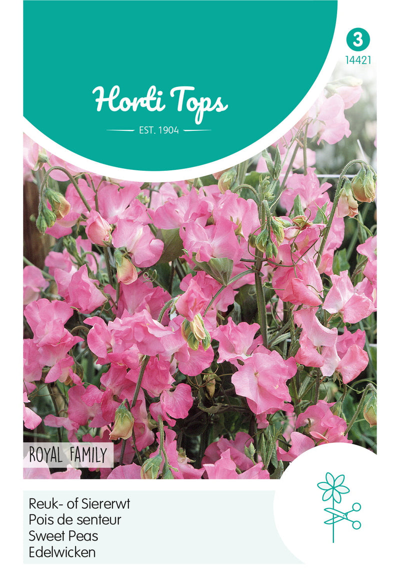 Sweet Pea - Royal Family Pink - 4g