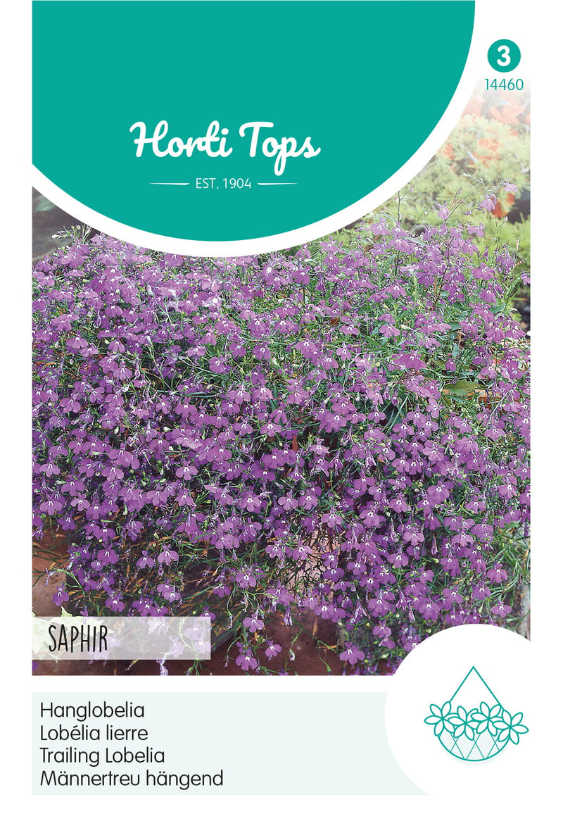 Lobelia Trailing - Zaffiro - 0,25g