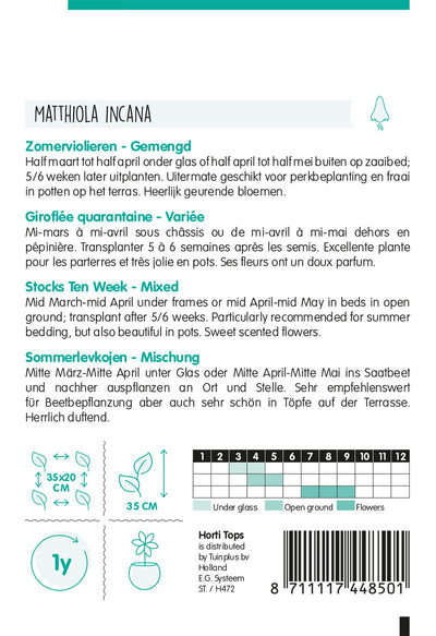 Stocks Ten Week - Matthiola - 0,5g