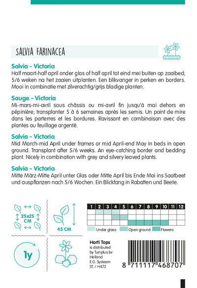 Salbei - Victoria - 0,25g