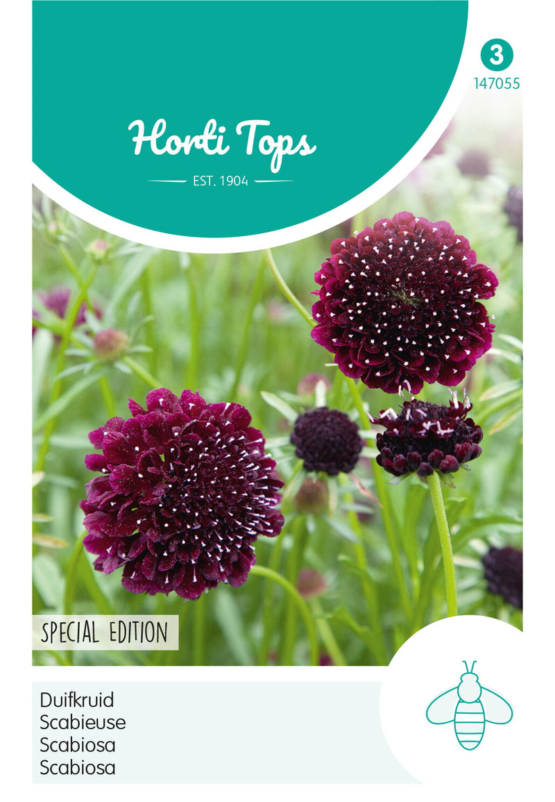 Scabiosa - Special Edition - 0,5g