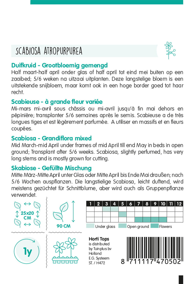 Scabiosa - Grootbloemig - 0,5g