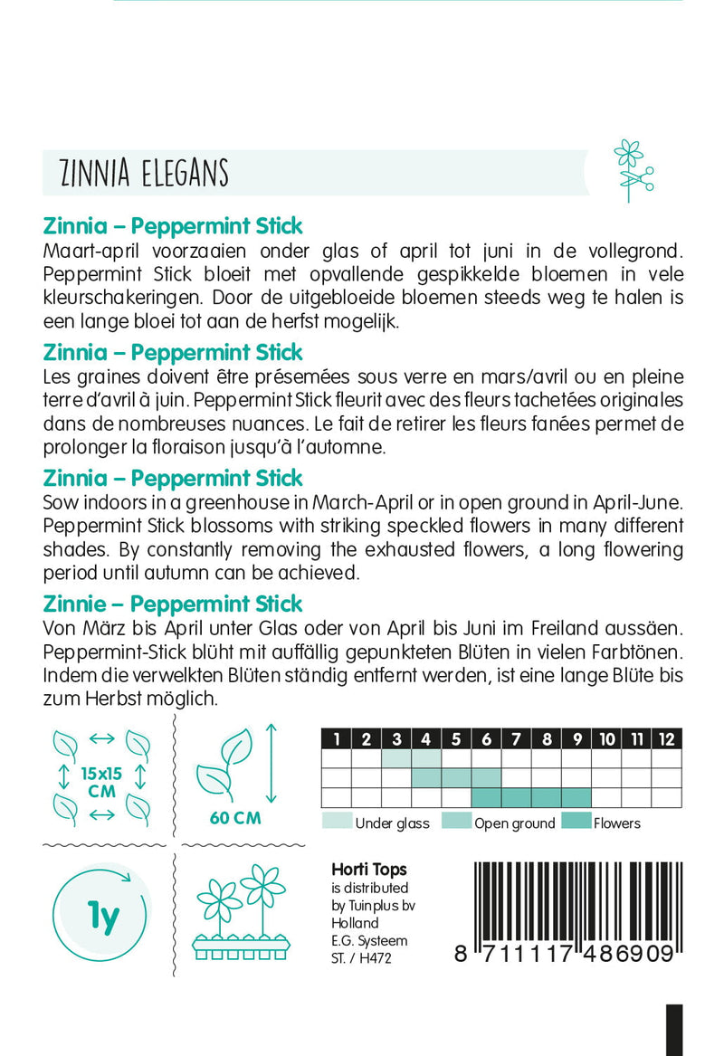 Zinnia - Peppermint Stick - 1g