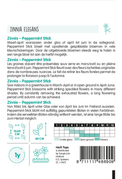 Zinnia - Peppermint Stick - 1g