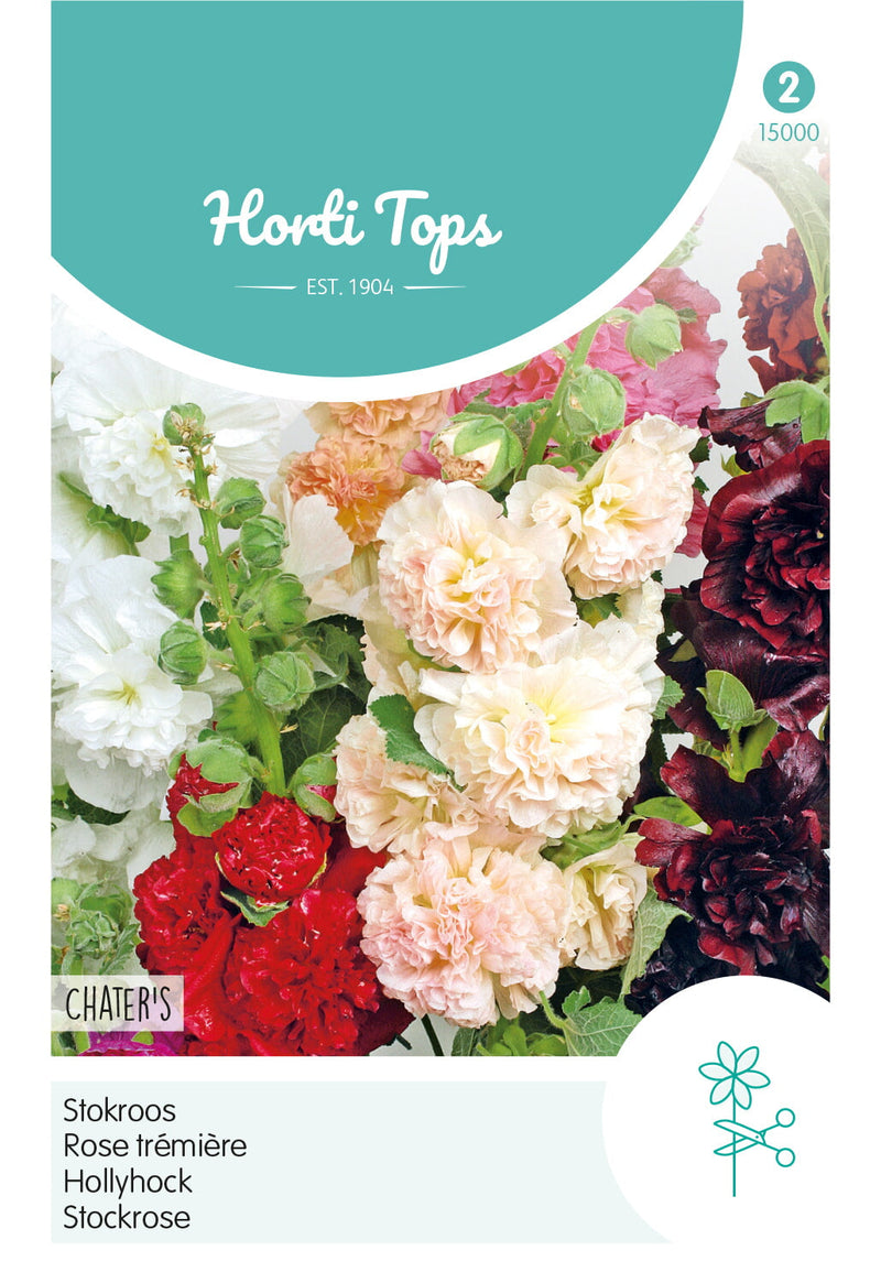 Hollyhock - Chater&