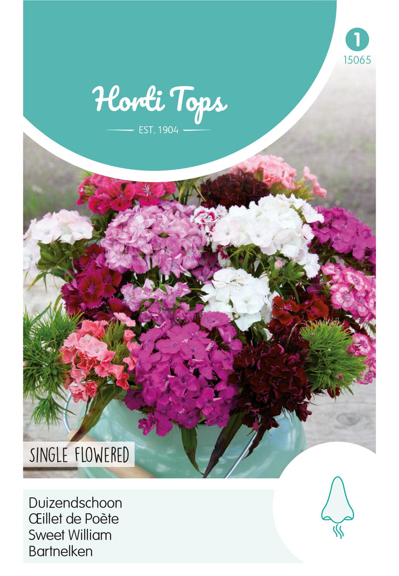 Sweet William - Single Flowered - 1g