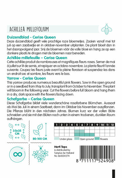 Duizendblad - Cerise Queen - 0,08g