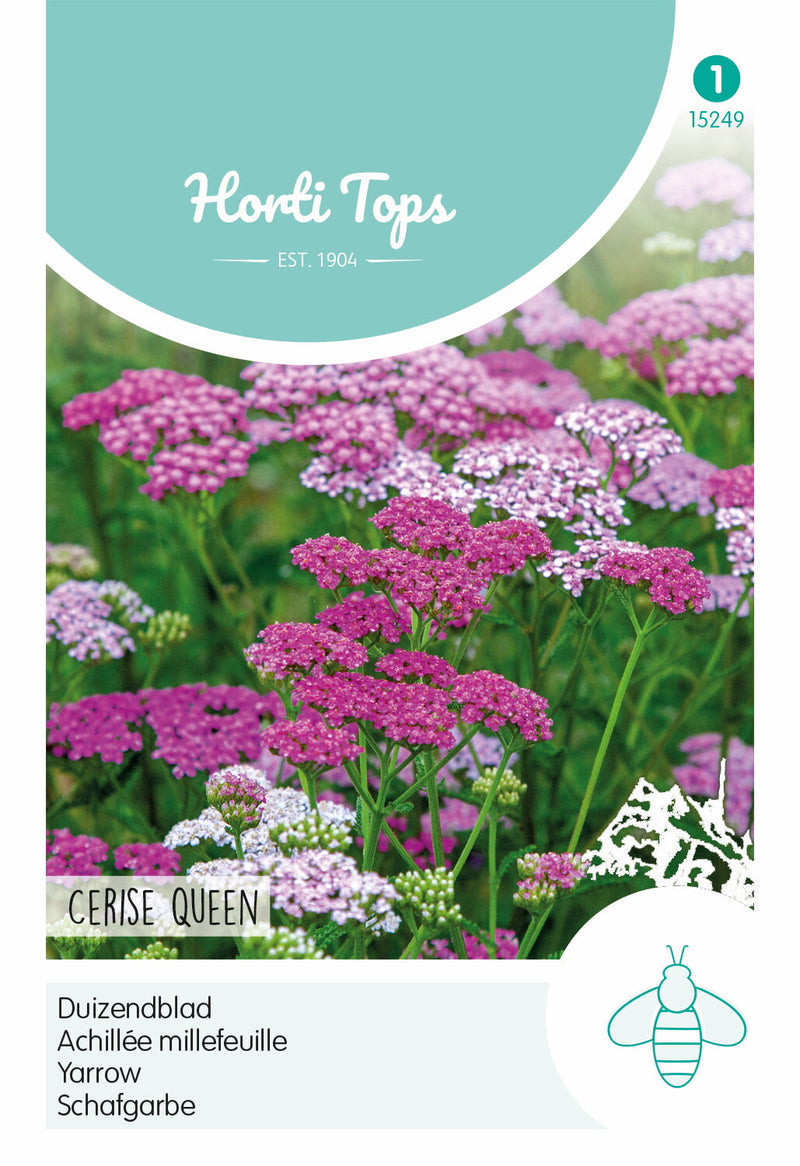 Duizendblad - Cerise Queen - 0,08g