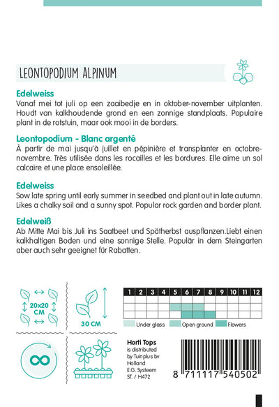 Edelweiss - Leontopodium Alpinum - 0,2 g