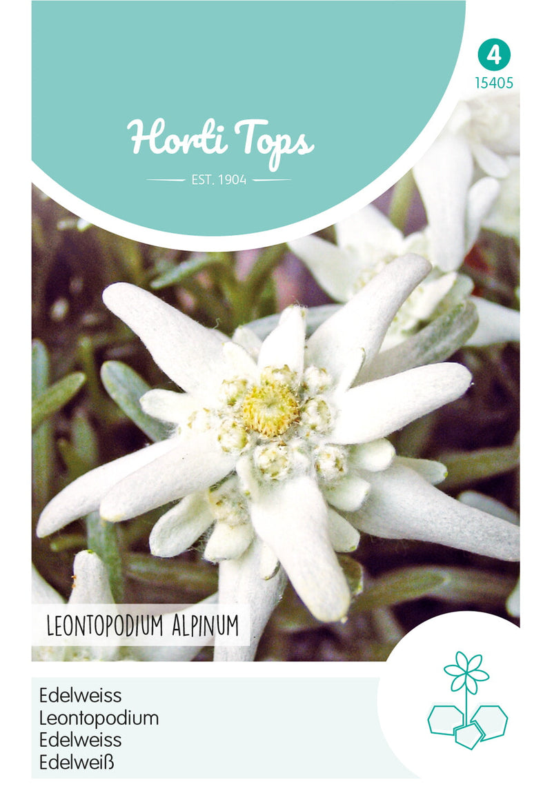 Edelweiss - Leontopodium Alpinum - 0,2 g