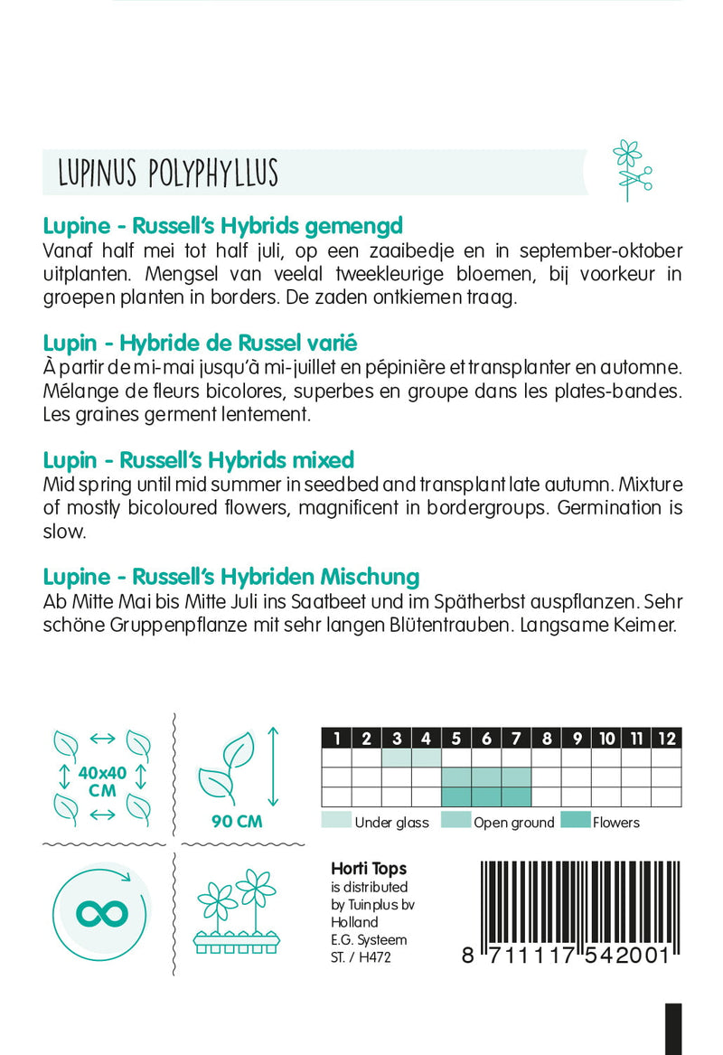 Lupine - Russells Hybriden - 2 g