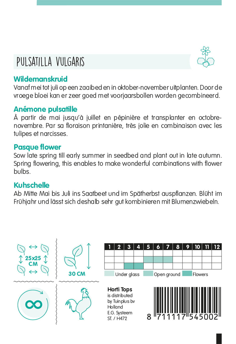 Küchenschelle - Pulsatilla - 0,1 g