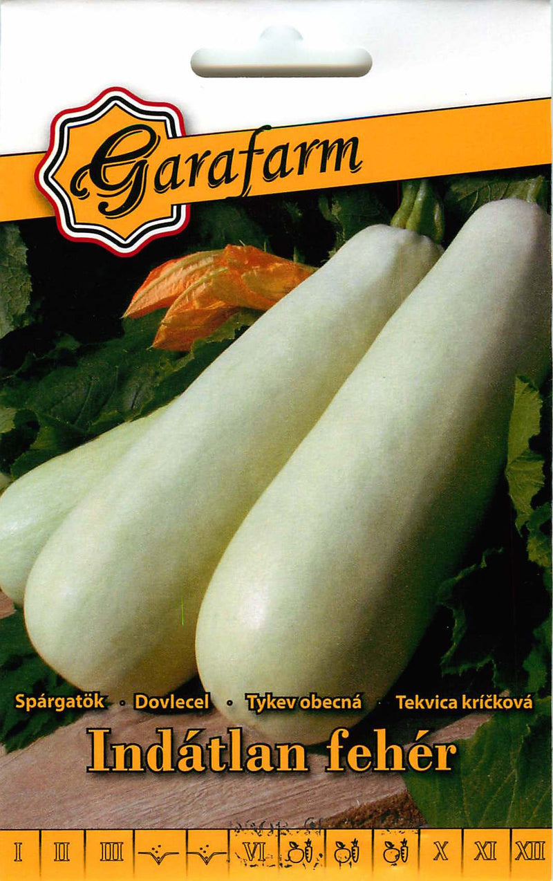 Courgette - Indátlan Fehér - 3g