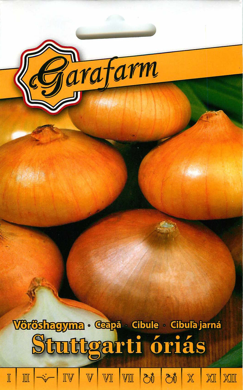 Onion - Stuttgart Giant - 2g