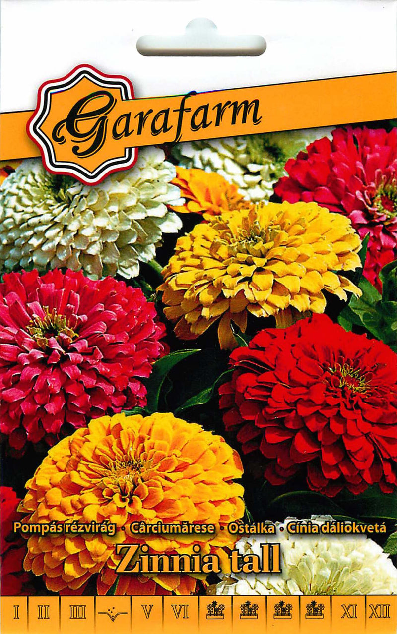 Zinnia - Hoog - 1g