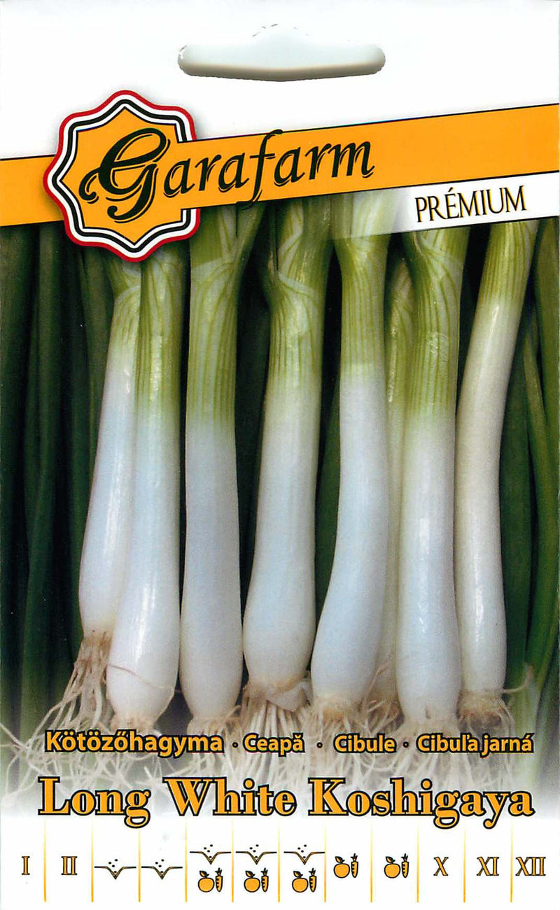 Onion - Long White Koshigaya - 1g