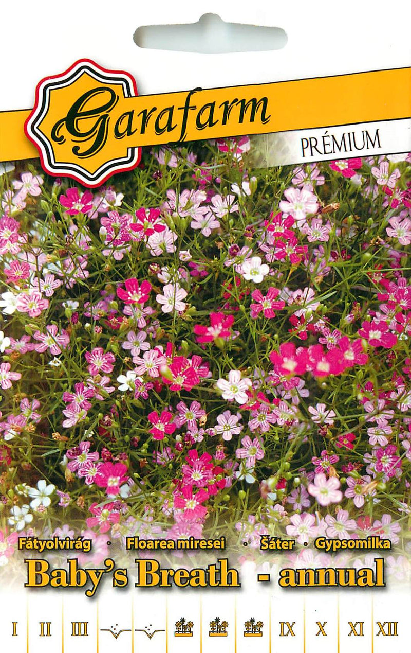 Gypsophile  - Rosy Veil - 0,5g