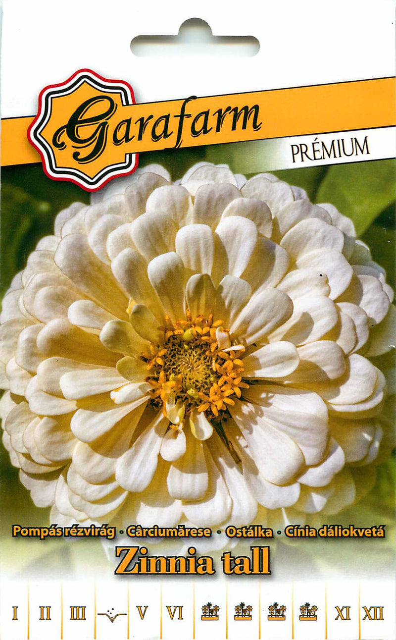 Zinnia - Alto - Blanco - 1g