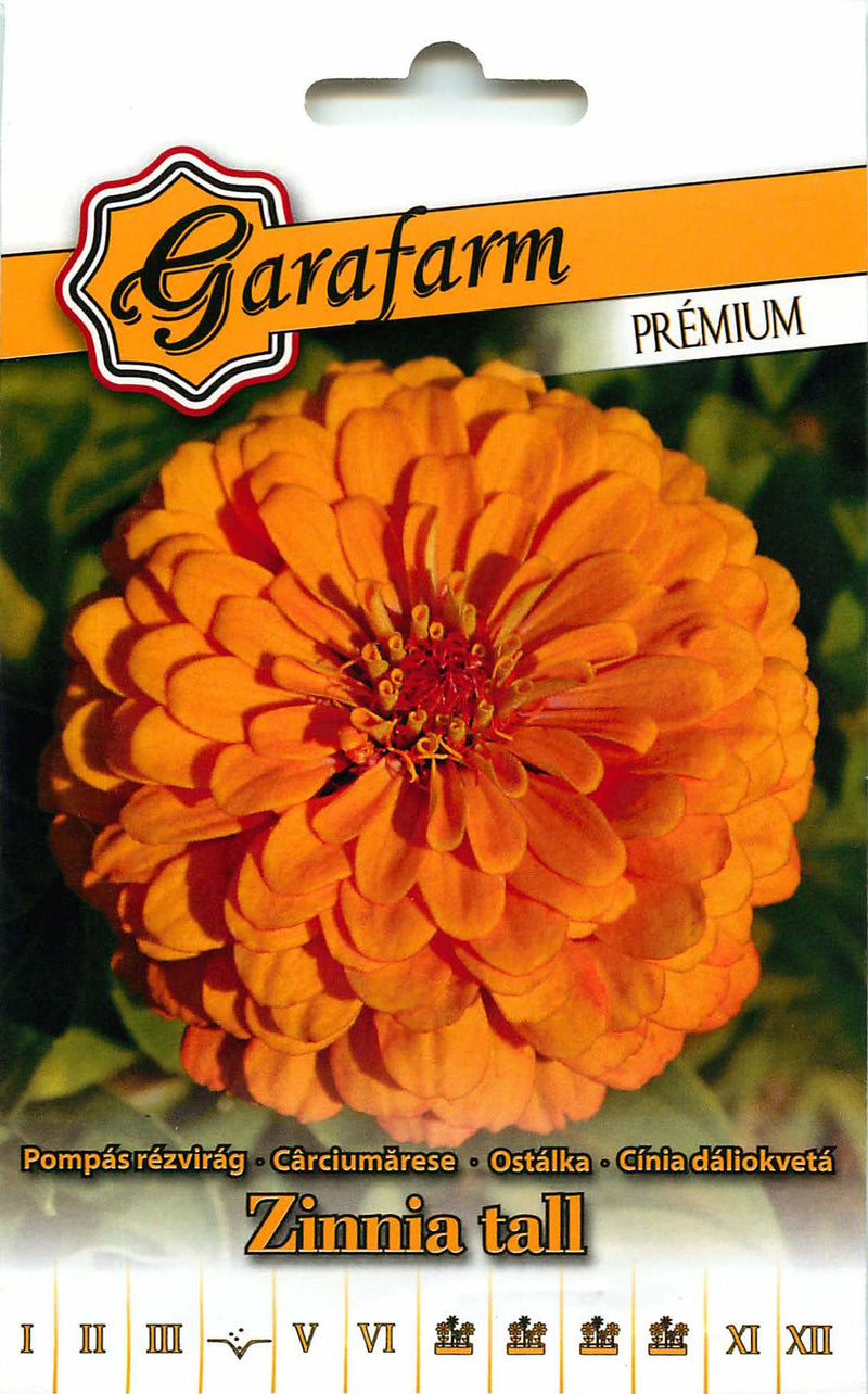 Zinnia - Hoog - Geel - 1g