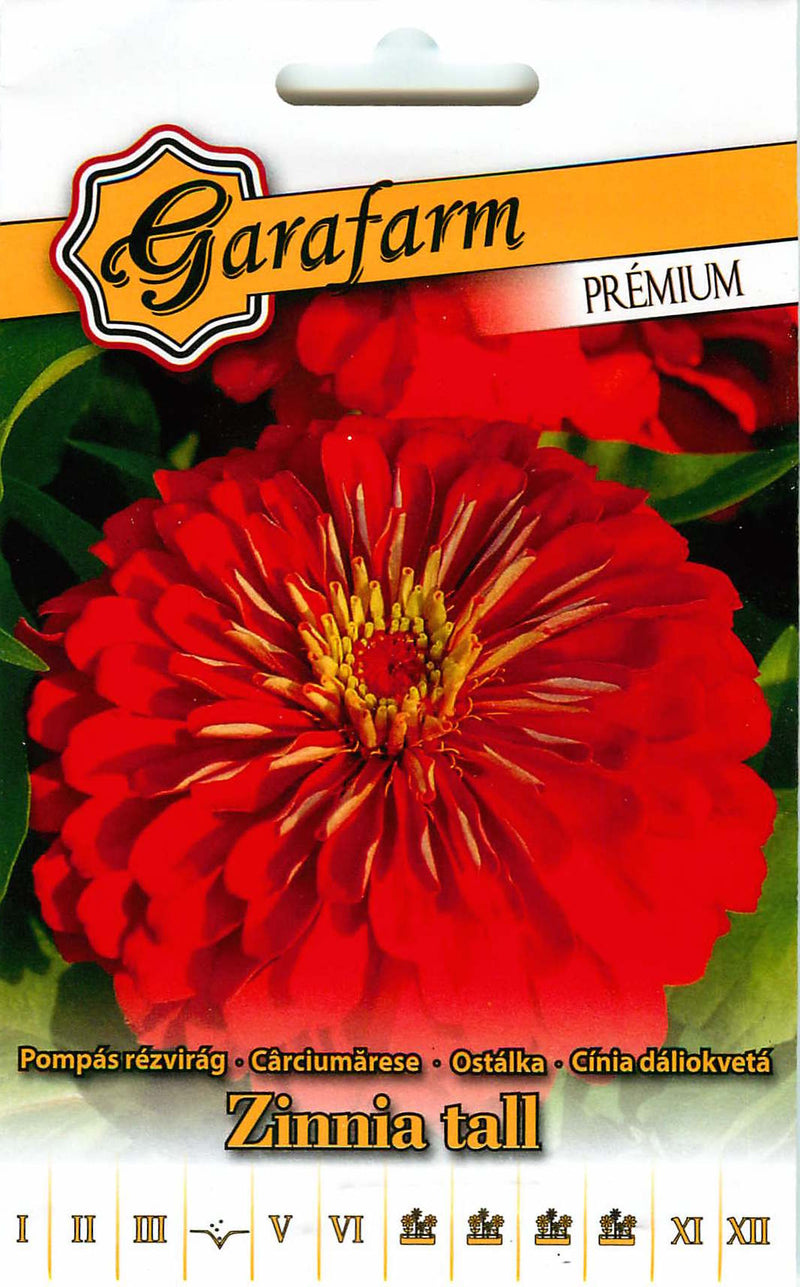 Zinnia - Hoog - Rood - 1g