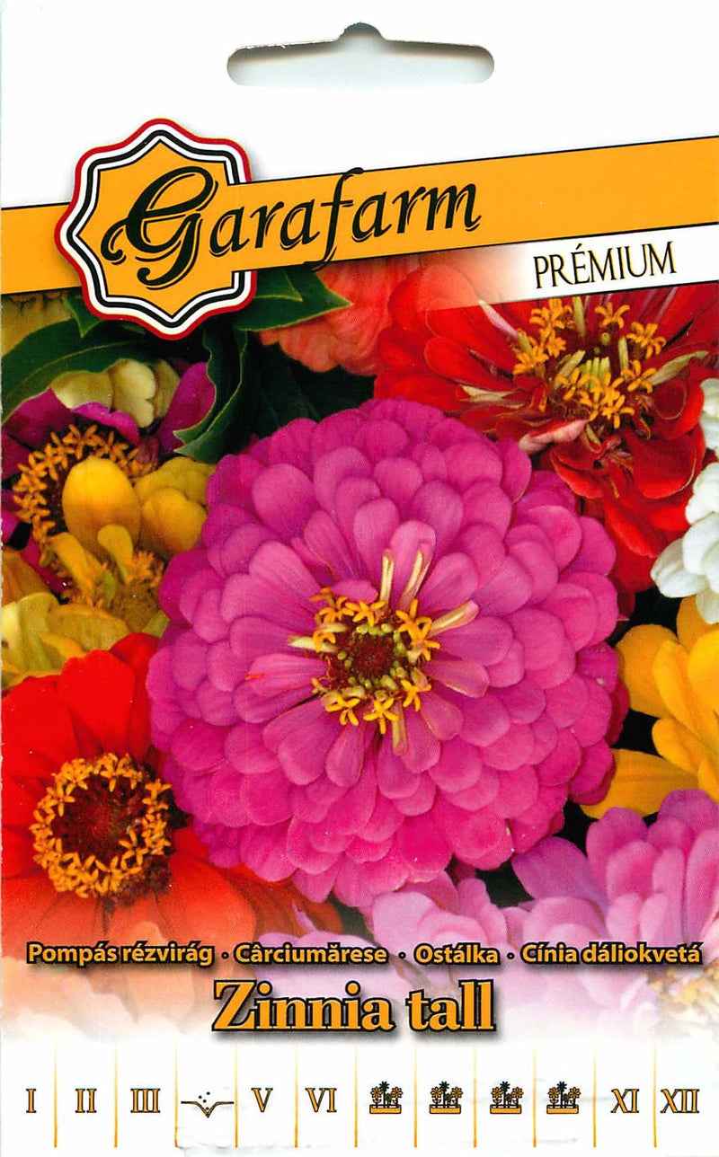 Zinnia - Gigante de California - 1g