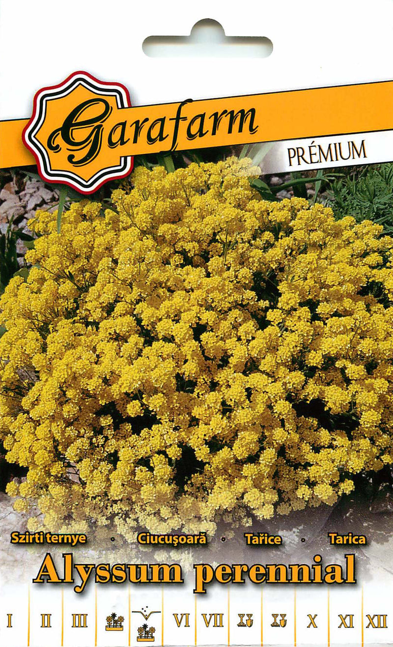 Alissum amarillo - 0,2g