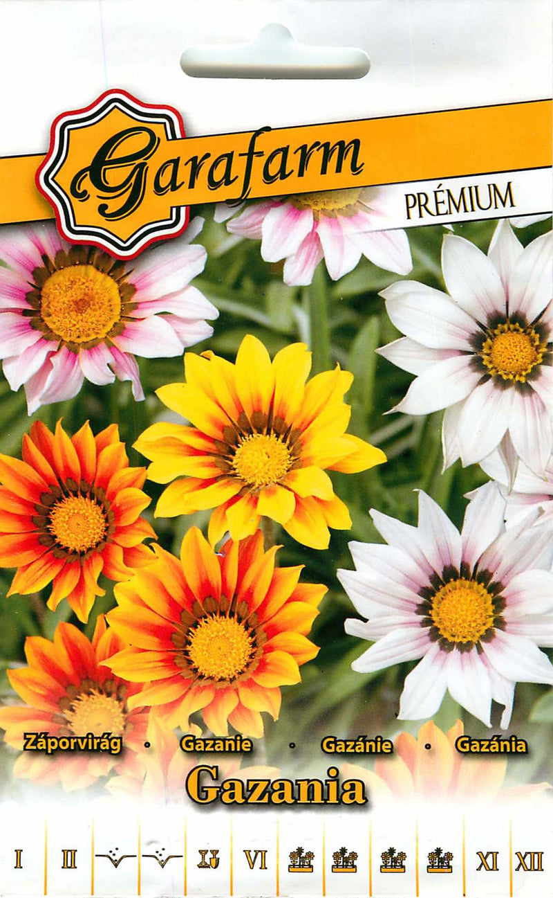 Flor del Tesoro - Gazania - 0,2g