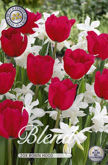 Tulip / Narcis Mix - Robin Hood - 12/14 - 20 pcs