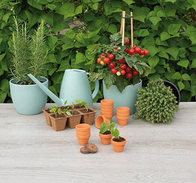 Pots en terre cuite - 4/5 cm - 12 pcs