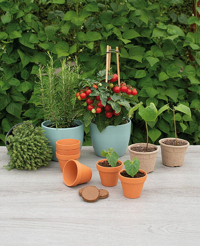 Terracotta Pots - 7/8 cm - 7 pcs