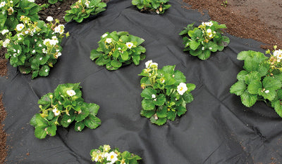 Mulch Fleece - 1,5x5m