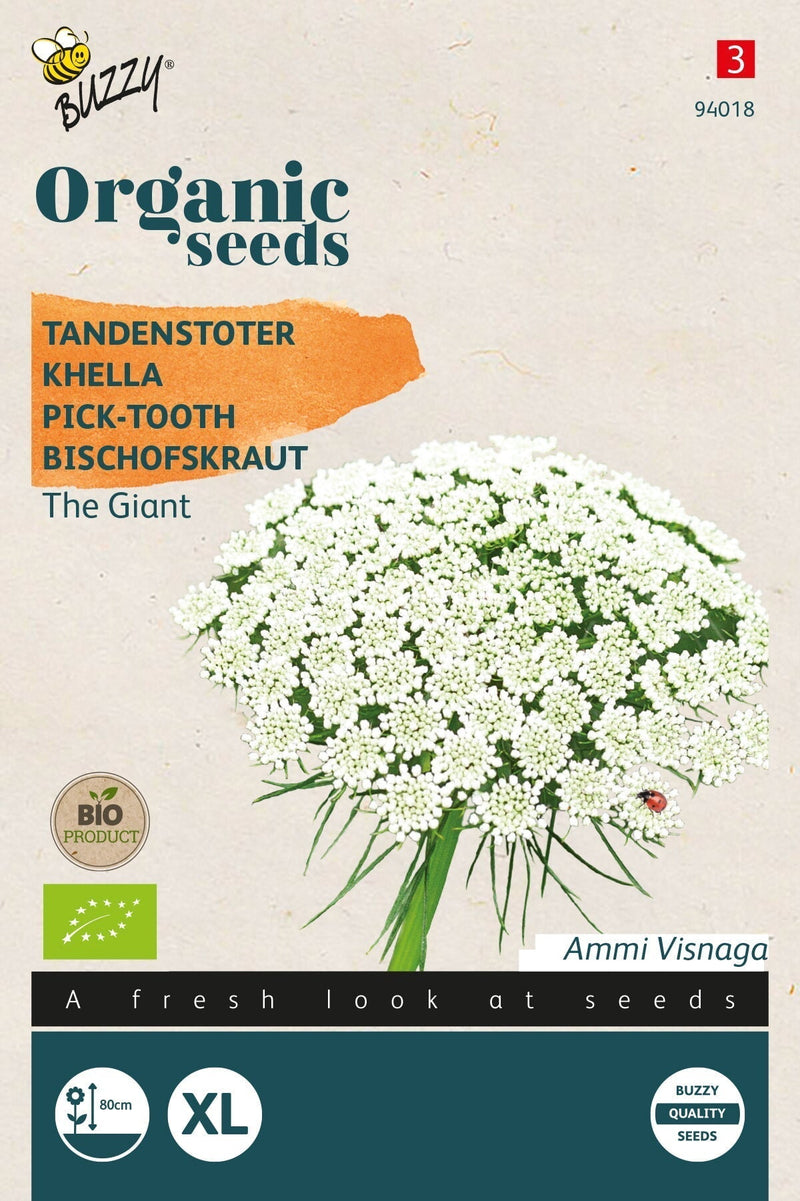 Bischofskraut - The Giant  - Biologisch - 0,1g