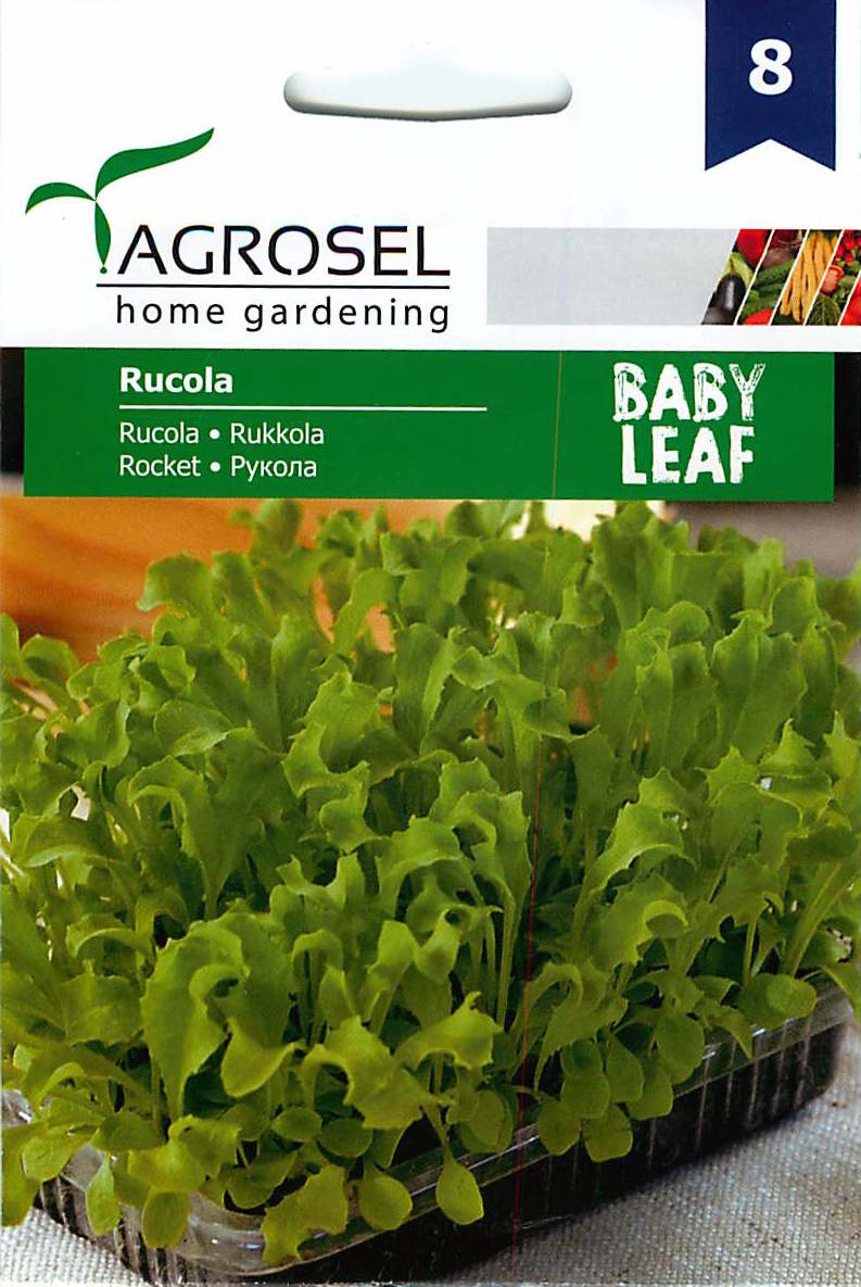 Rucola - Baby Leaf - 5g