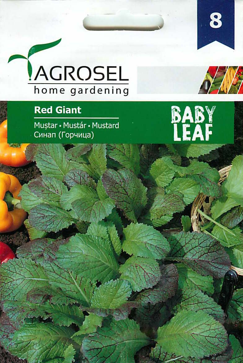 Mostaza Baby Leaf - Gigante Rojo - 4g