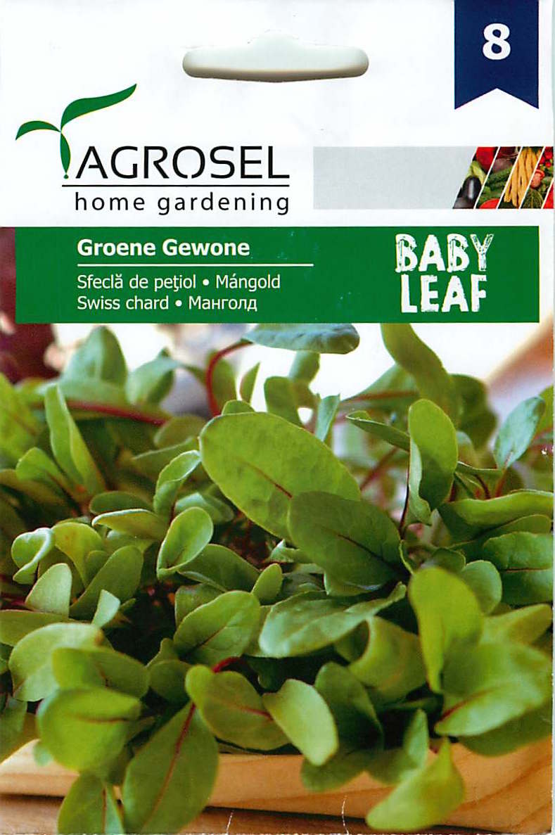 Bietola svizzera - Baby Leaf - Verde Regolare - 4g