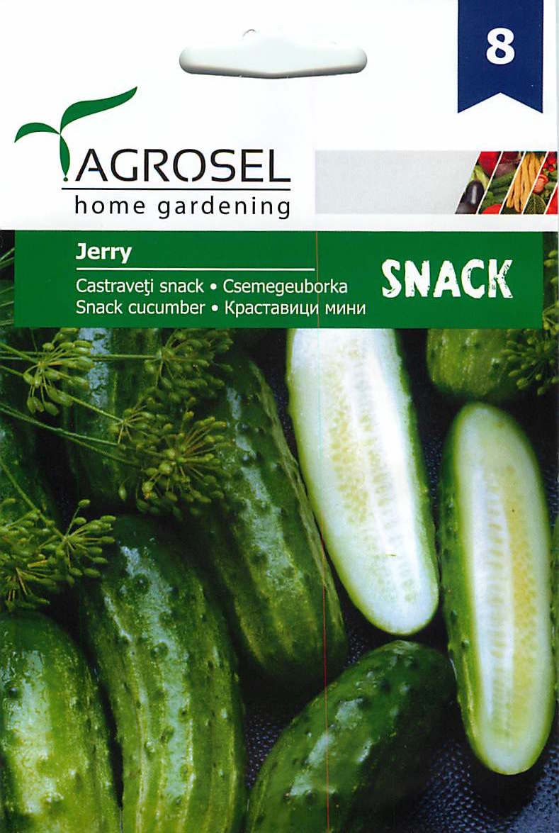 Snack Cucumber - Jerry - 15 seeds