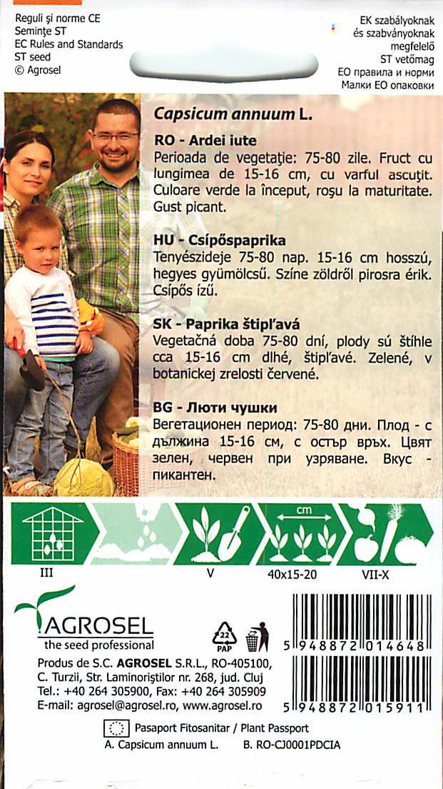 Papar - Pintea - 0,8g