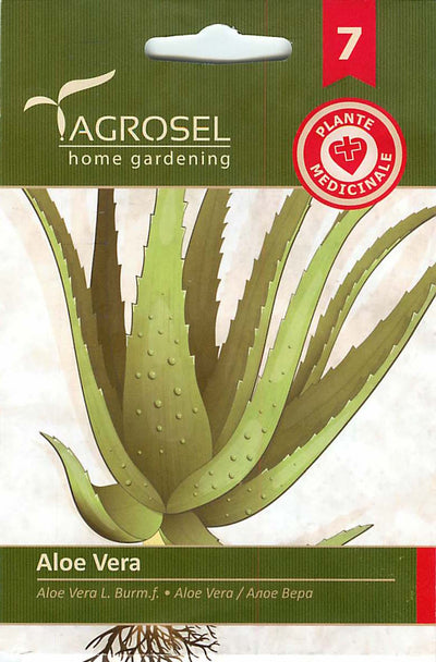 Aloe Vera – 8 Samen