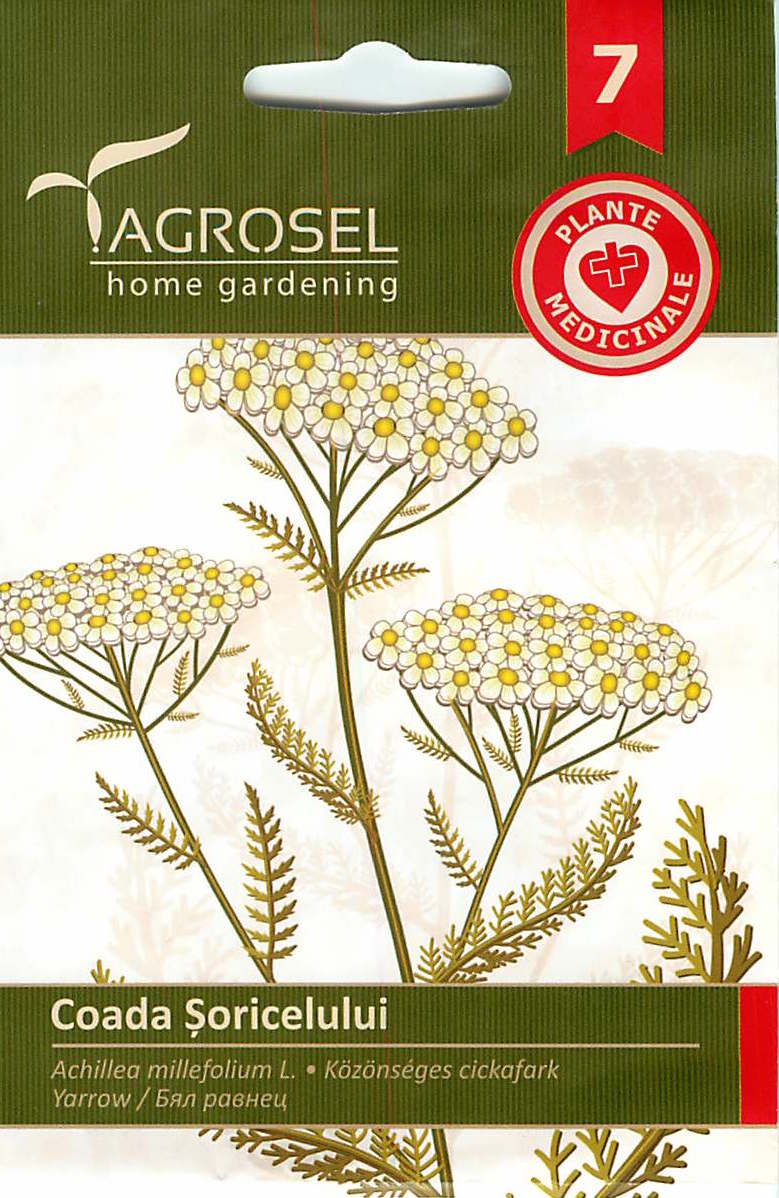 Achillea - 1,5 g