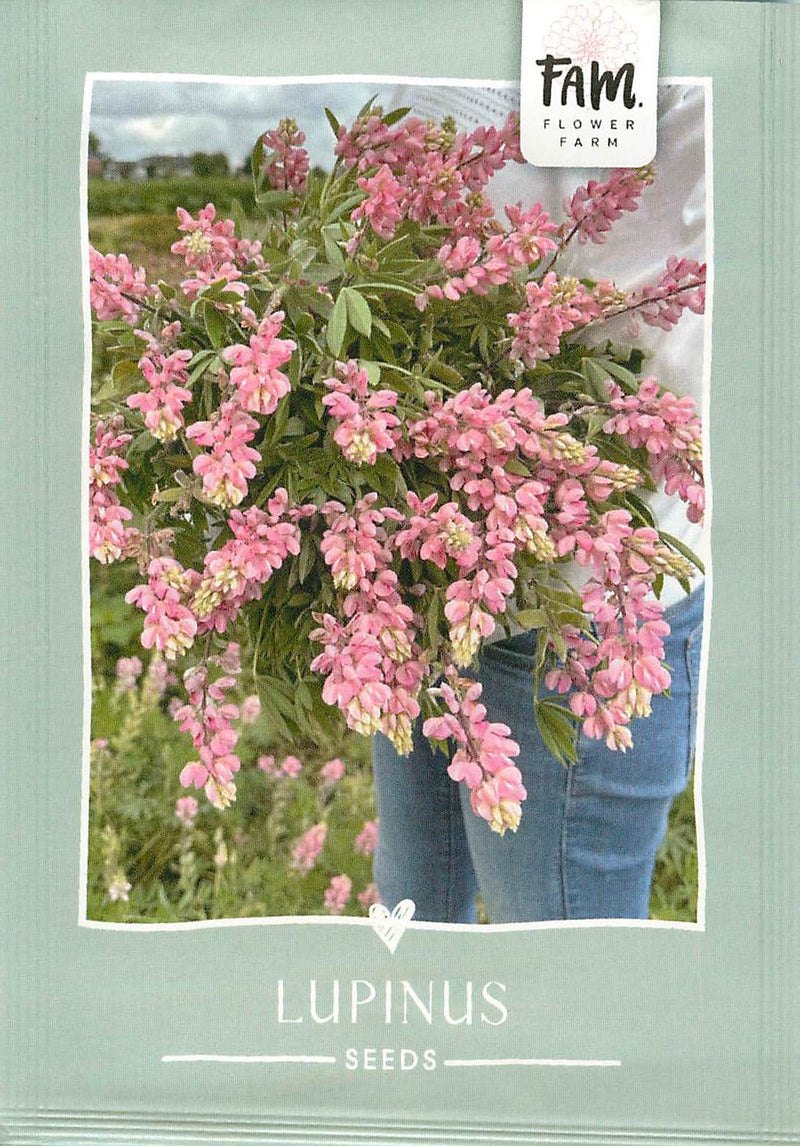 Lupinus - Avalune Pink - 50 graines