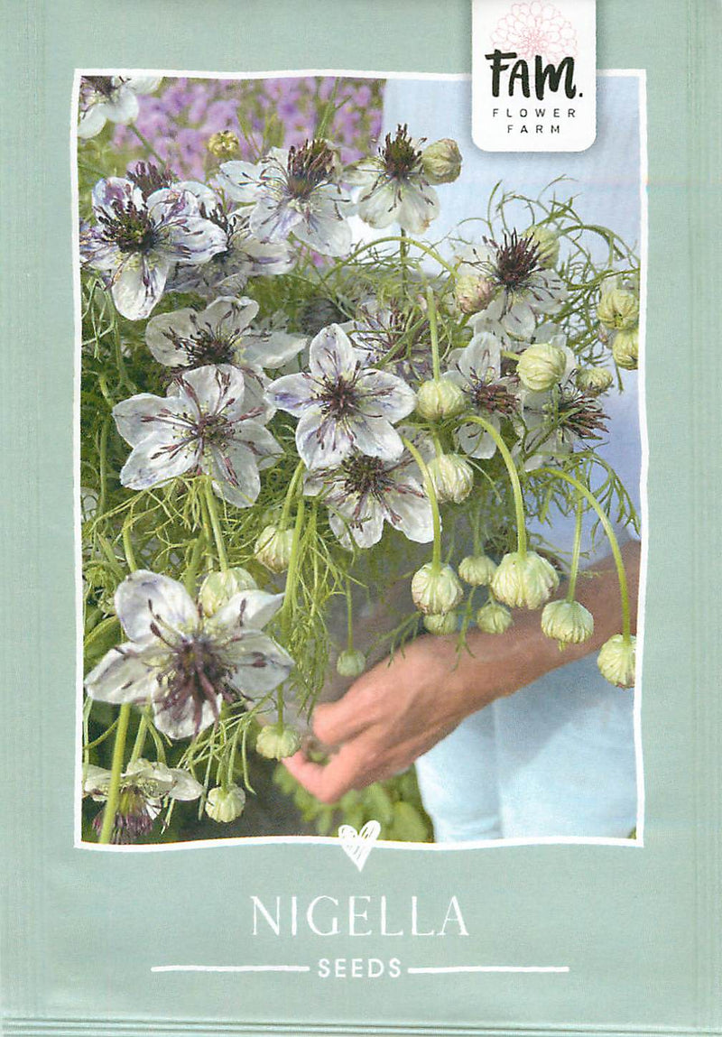 Nigella - Blu Delft - 200 semi