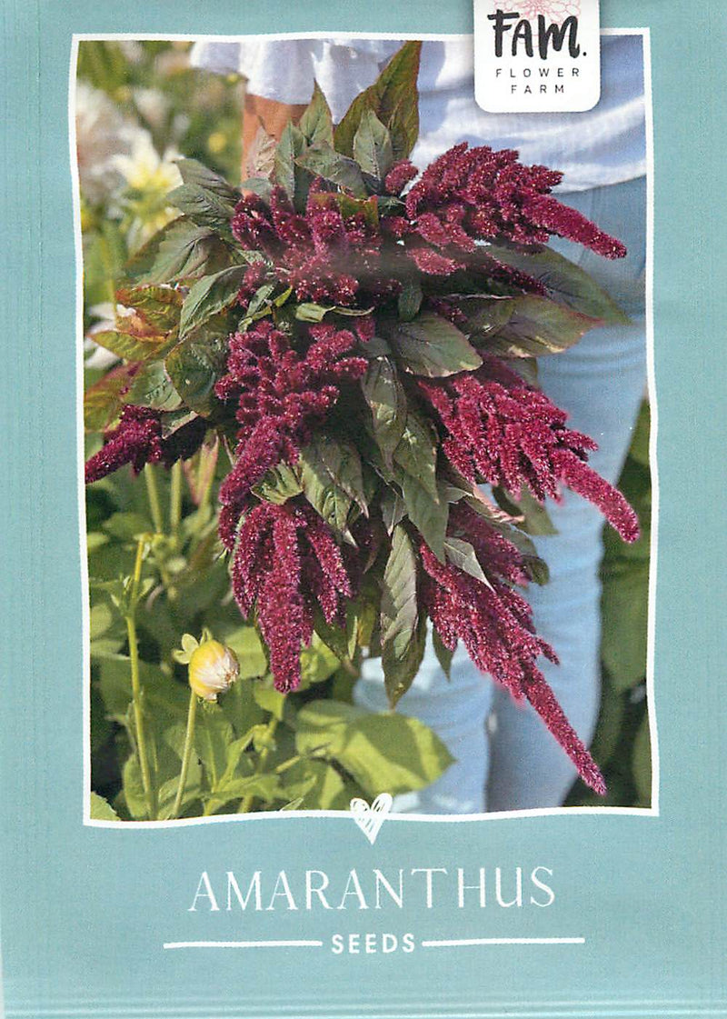 Amaranthus - Tende in Velluto - 400 Semi