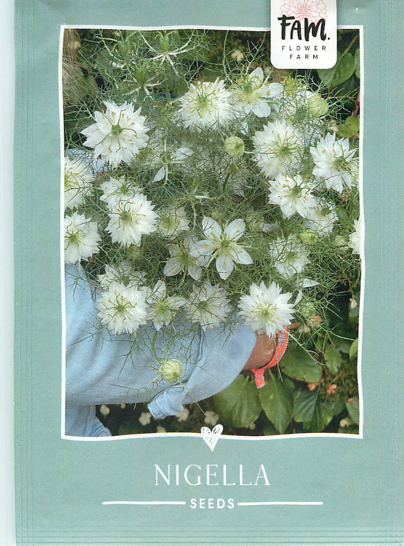 Nigelle - Albion Green Pod - 180 graines