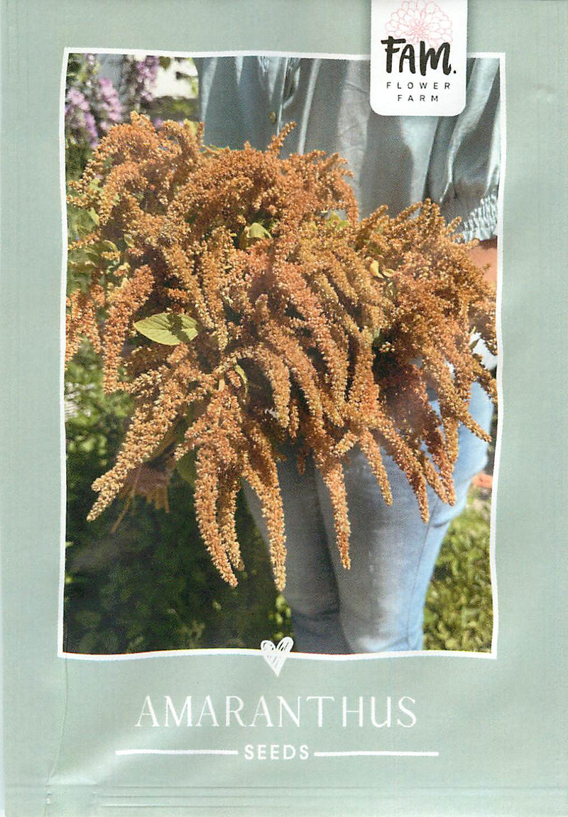 Amaranthus - Galletas Picantes - 180 Semillas